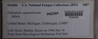 Image Associated With the Occurence